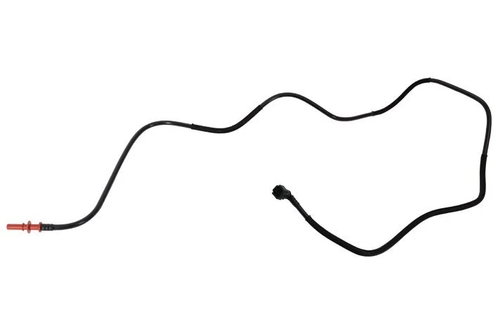 Text